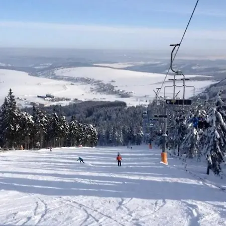 아파트 Horsky Klinovec 4 *